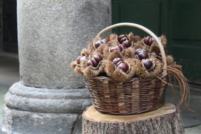 O Magosto da Rocha Forte reunirá veciños e amizades este sábado