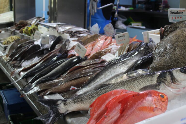 ‘Estrelas no Camiño de Santiago’: gastronomía de elite e solidariedade no corazón da ruta xacobea