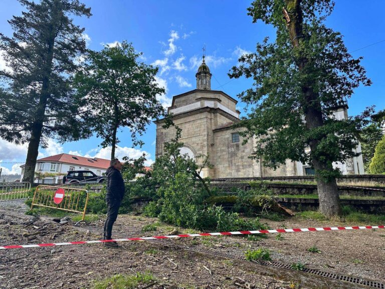 O Concello de Brión pecha temporalmente o acceso á carballeira de Santa Minia trala caída dunha árbore