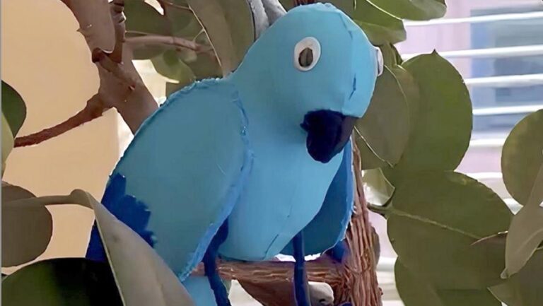 Bluffy, o loro aventureiro que axuda aos máis pequenos de Teo a adquirir novos coñecementos