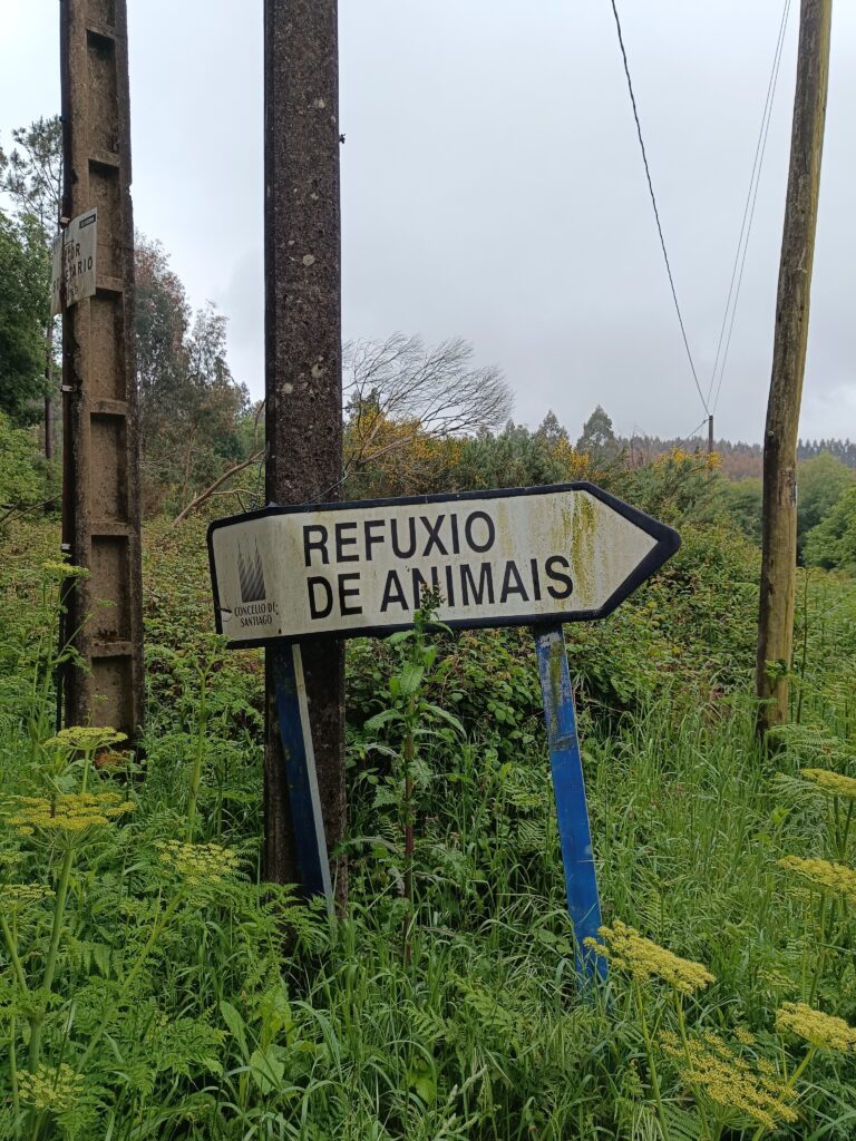 Cartel Refuxio de Bando / Elena González - Galicia Confidencial