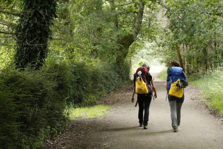 Galicia fortalece a atención aos peregrinos cun novo convenio entre a Axencia de Turismo e a Catedral de Santiago