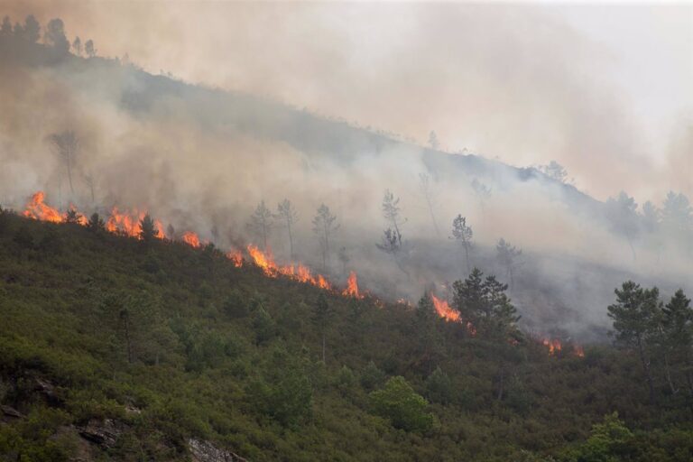 Investigada unha persoa por un incendio forestal en Val do Dubra que queimou catro hectáreas