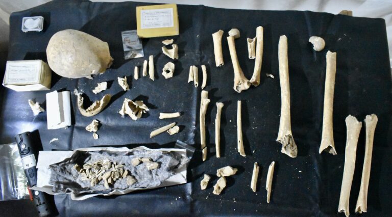 Identificado o bispo Teodomiro, descubridor da tumba  do Apóstolo Santiago, con probas de ADN