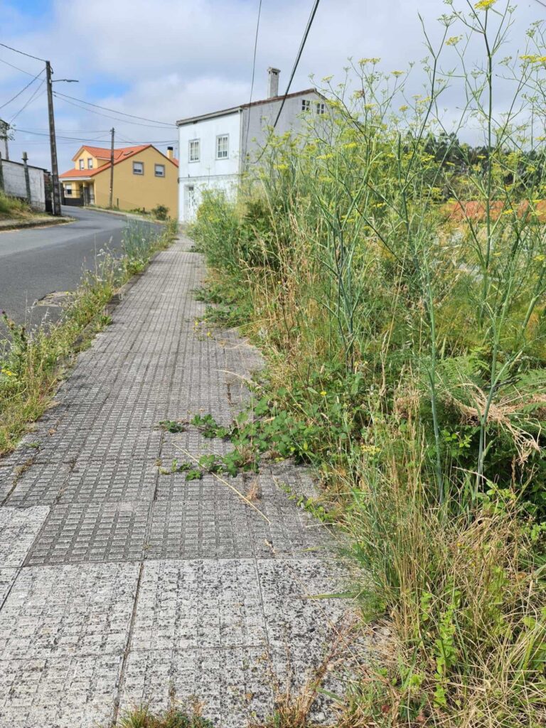 Os populares critican ao BNG por descoidar a limpeza e desbroces en Santiago