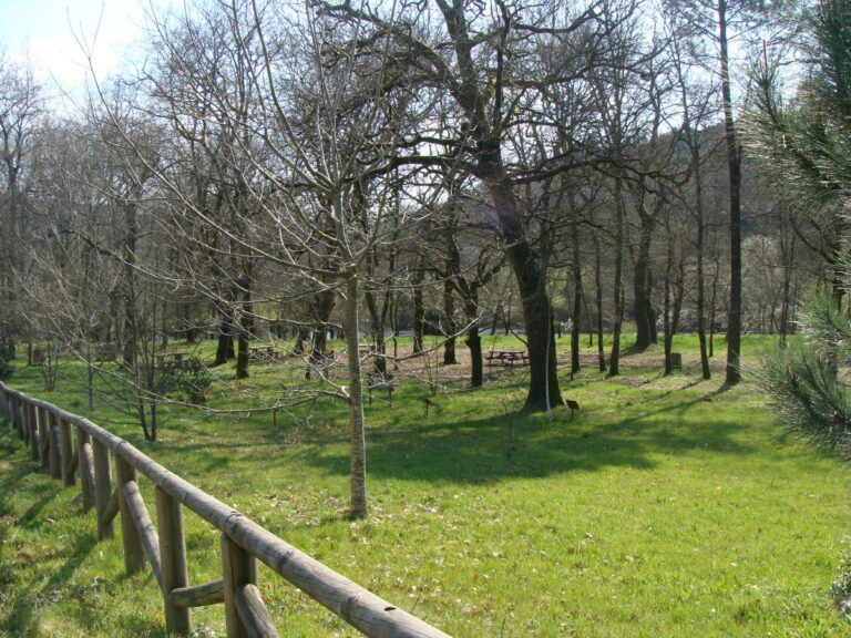 Augas de Galicia elimina dous puntos de verteduras nos concellos de Trazo e Vedra