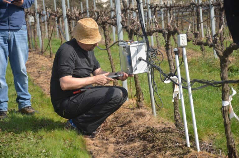 A Fundación Feuga presentará en Santiago os avances de tres proxectos innovadores no sector agroforestal