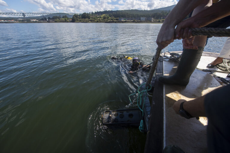 Cobre San Rafael asegura tras un estudo de monitorización a “alta calidade” das augas do Ulla