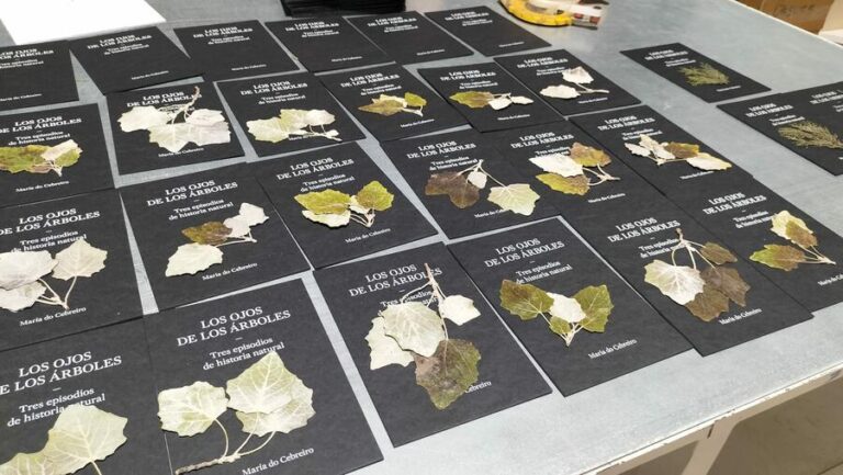 NUMAX e a USC presentan o álbum ilustrado ‘Los ojos de los árboles’ de María do Cebreiro