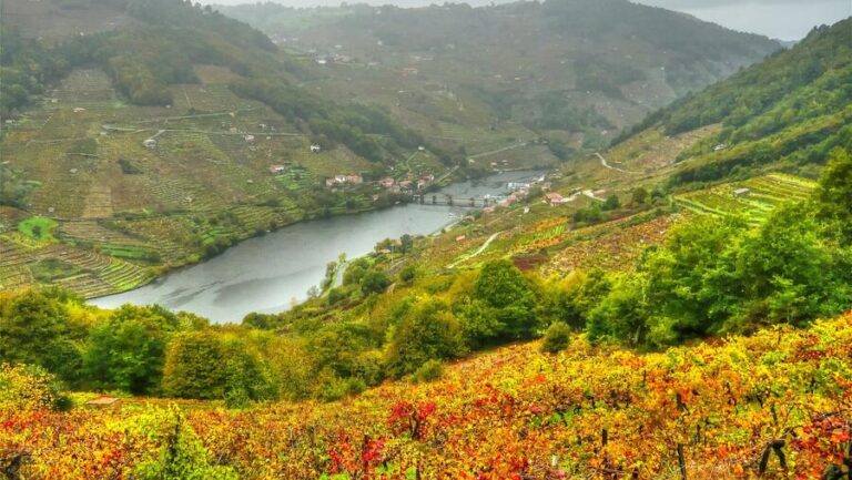 Este venres finaliza o prazo para presentar candidaturas ao Premio Aresa de Desenvolvemento Rural