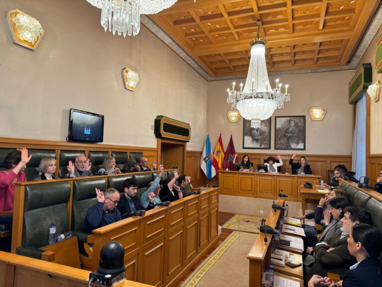 O pleno de Santiago aproba inicialmente a xestión de residuos para separar os elementos orgánicos