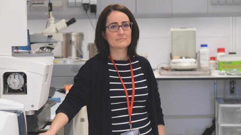 Un equipo da USC presenta un avance na produción de hidróxeno con catalizadores máis duradeiros e eficientes