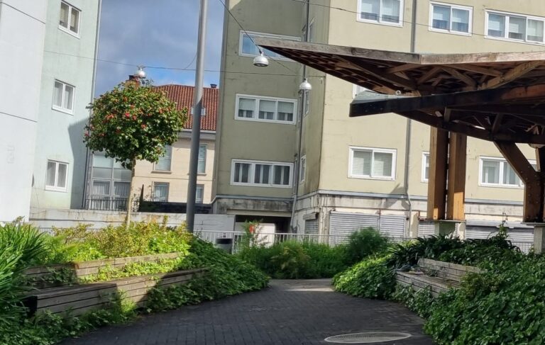 O Partido Popular reclama a limpeza dos espazos públicos en Vista Alegre