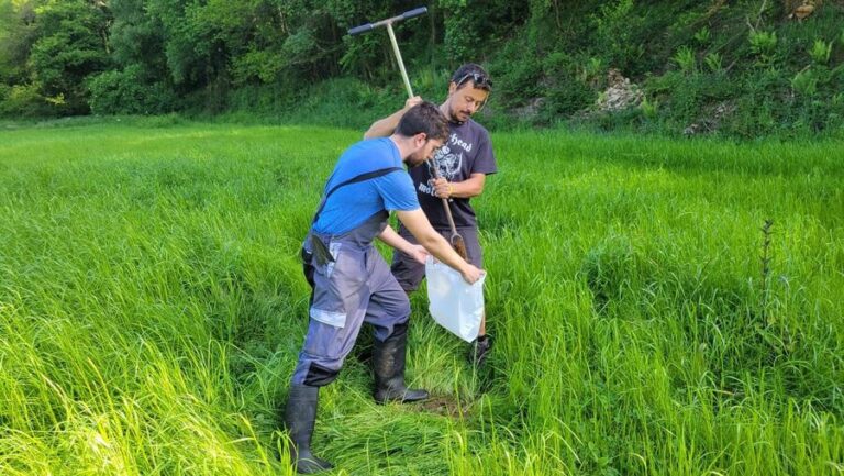 A USC transforma xurros en biofertilizantes e reduce un 22% as emisións con tecnoloxía pioneira