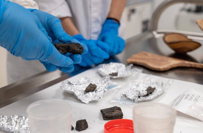 O CSIC crea un laboratorio pioneiro en Santiago para estudar a relación ancestral entre humanos e plantas