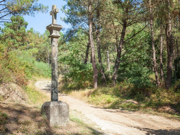 A USC abre o curso deportivo cunha ampla programación de rutas de sendeirismo