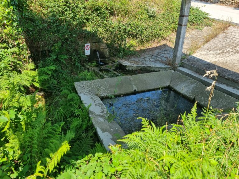 O PP reclama a limpeza da fonte e lavadoiro de Aradas e acusa o goberno local de desleixo no rural