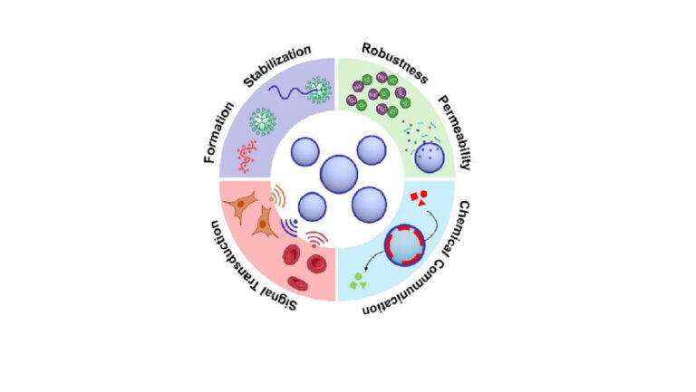 O CiQUS crea microgotas sintéticas que replican funcións básicas das células vivas