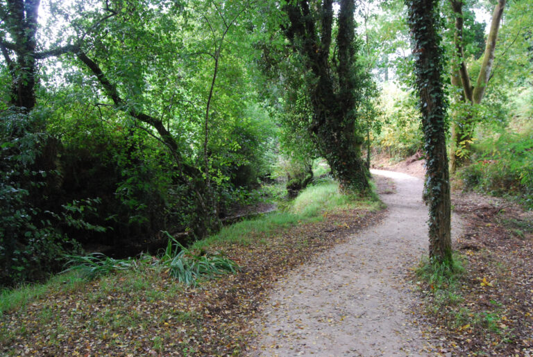 O Milladoiro acolle este xoves a segunda andaina do programa ‘Camiñando no solpor’