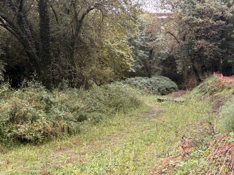 UCIN reclama ao Concello a limpeza do río Sar en Conxo para evitar novas inundacións