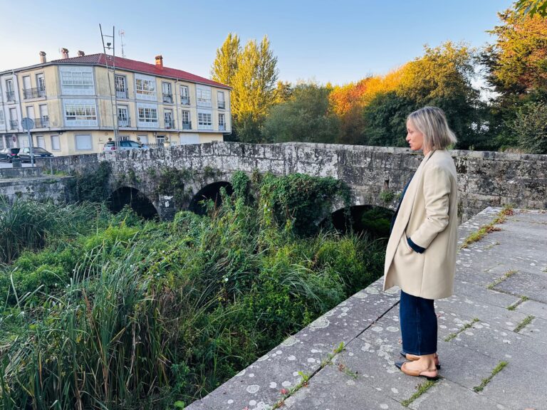 O PSdeG denuncia o “estado lamentable” do río Sar á altura da Ponte do Sar
