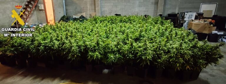 Desarticulan unha banda e capturan 1.500 plantas de marihuana en dúas naves do Pino e Oroso