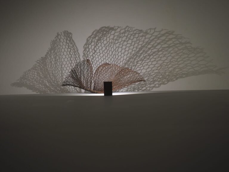 O pontevedrés Arturo Álvarez explora a beleza do ferro oxidado na Galería Luisa Pita