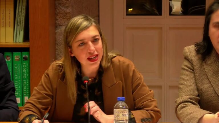 PP, Non Adscritos e PSOE condenan o “acoso” da CIG na sede dos populares o 25N