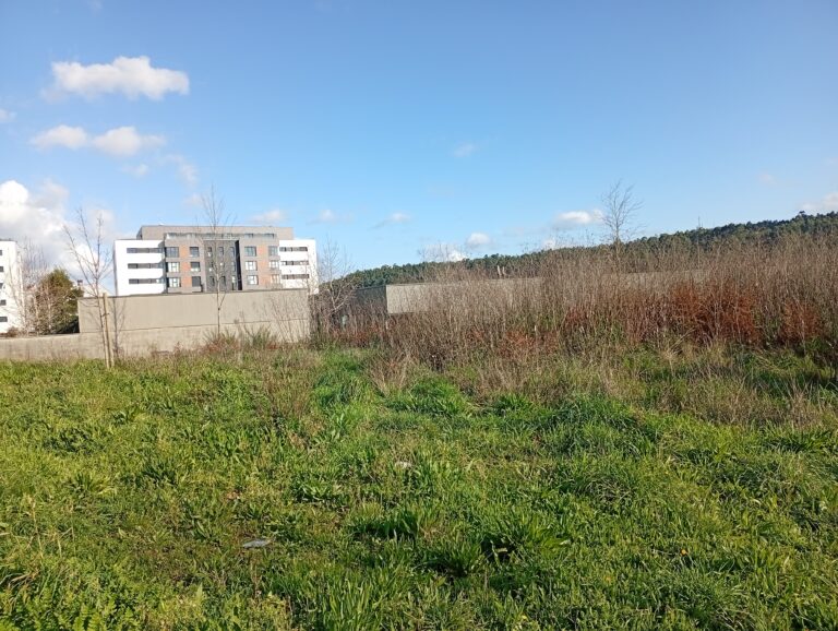 UCIN Ames denuncia o abandono dos terreos anexos ao centro de saúde do Milladoiro