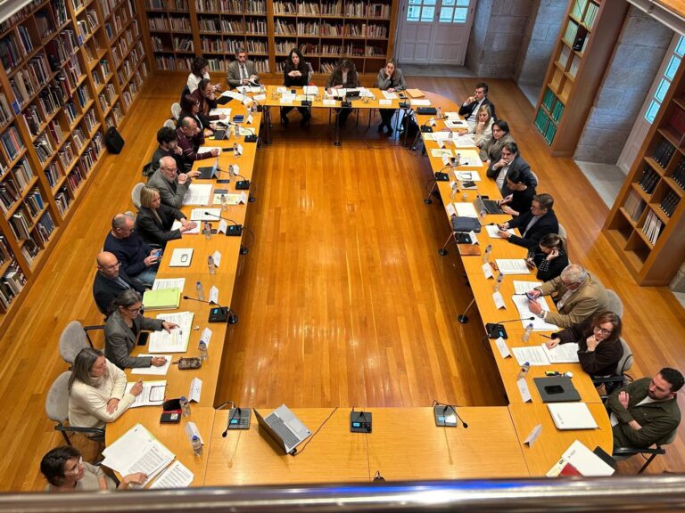 O pleno de Santiago aproba unha declaración sobre Medicina para evitar novas titulacións xurdidas unilateralmente