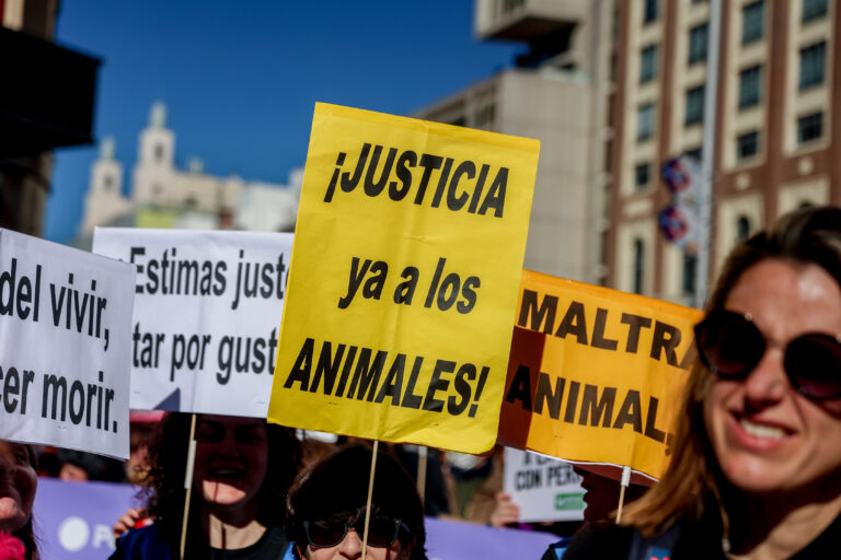 Convocan unha concentración en Santiago contra a caza e os malos tratos animais