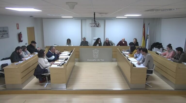 O BNG de Teo leva ao pleno dúas mocións sobre o sector agrogandeiro e o patrimonio que son rexeitadas polo PP