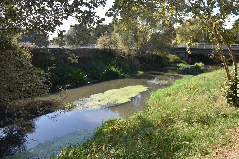 O Concello pide o arquivo da sanción de 300.000 euros por verteduras ao río Sar e atribúe a responsabilidade a Acuaes