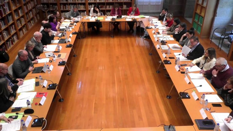 O Pleno aproba por unanimidade a declaración institucional do 8M e reafirma o seu compromiso coa igualdade