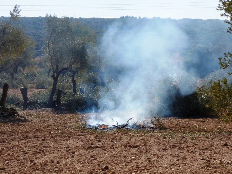 O Seprona investiga tres persoas en Vedra por un incendio forestal causado por unha queima non controlada