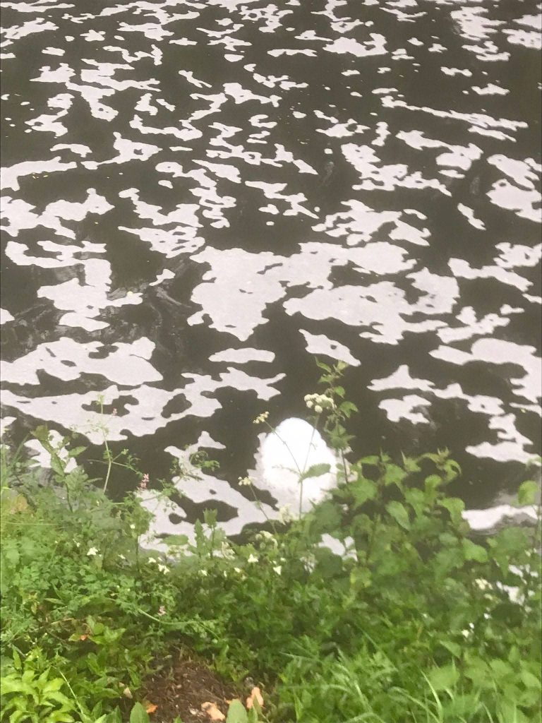 UCIN denuncia o estado de degradación do río Sar ao seu paso por Ames e ameaza con acudir á UE