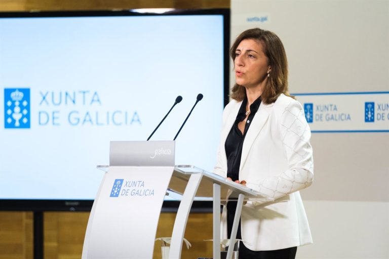 A Xunta autoriza ambientalmente a transformación de 4,8 hectáreas forestais en viñedo no municipio de Boqueixón