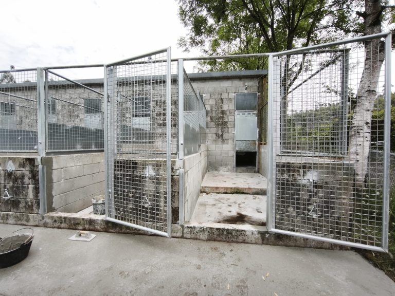 O Concello defende que baixa o número de animais en Bando e xustifica a suspensión da selección da dirección por unha dúbida legal