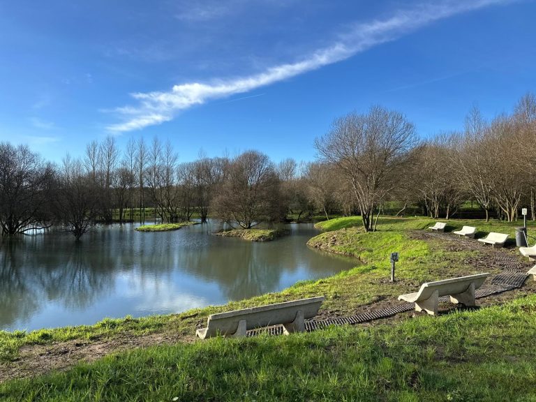 O Concello de Santiago contrata nove persoas para reforzar o mantemento de zonas verdes, vías e limpeza de pintadas