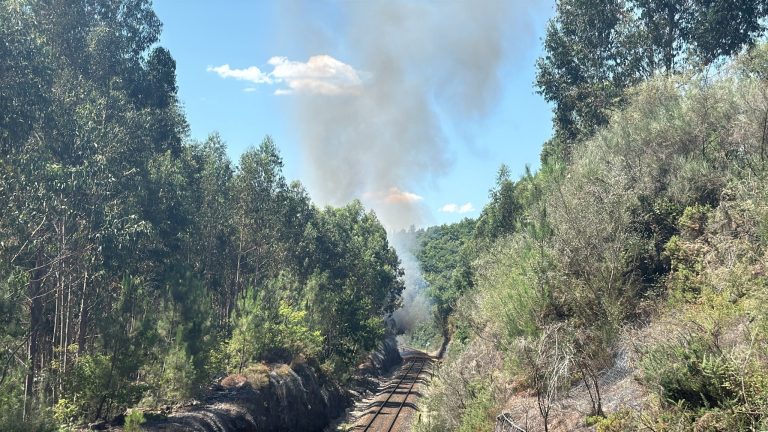 Reabre a vía convencional Santiago-Ourense tras extinguirse o lume en Boborás