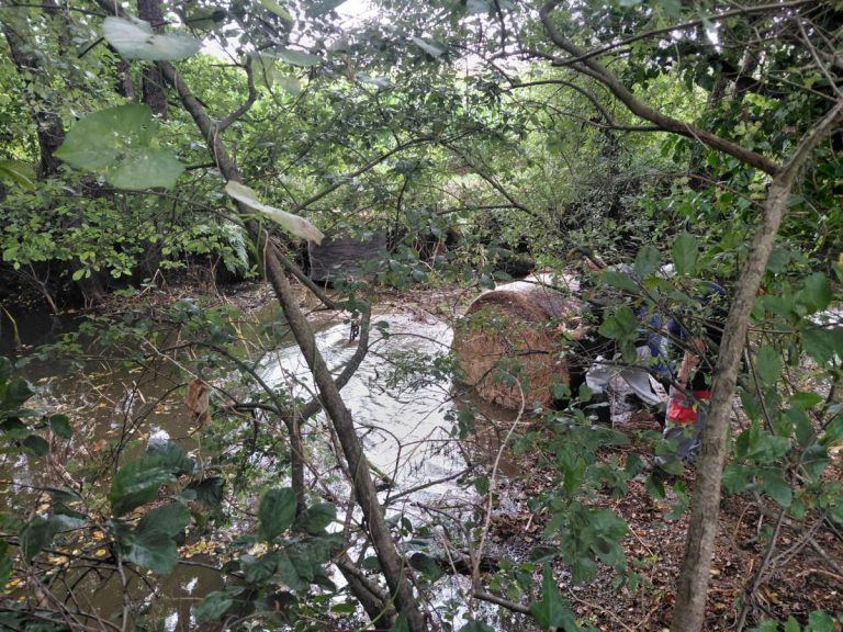 Santiago activa medidas de aforro de auga ante o risco dunha vertedura de xurro no Tambre